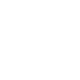 Dollar Icon