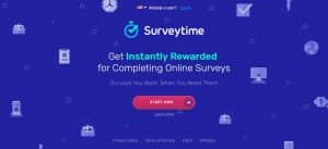 survey time homepage preview